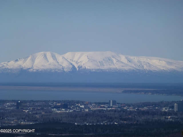 9300 Buddy Werner Dr, Anchorage, AK 99507 - view of mountain background