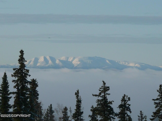 9300 Buddy Werner Dr, Anchorage, AK 99507 - view of mountain backdrop