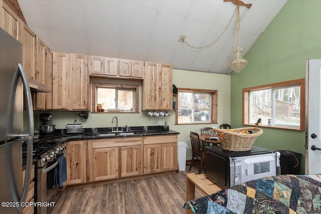 1080 Leuthold Dr, Fairbanks, AK 99712 - kitchen with appliances with stainless steel finishes, a sink, dark wood-style flooring, under cabinet range hood, and vaulted ceiling