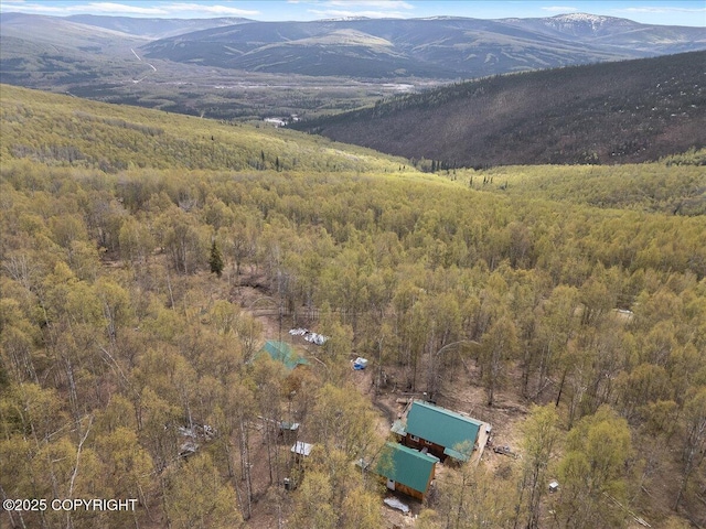 1080 Leuthold Dr, Fairbanks, AK 99712 - aerial overview of property's location with a heavily wooded area and mountains