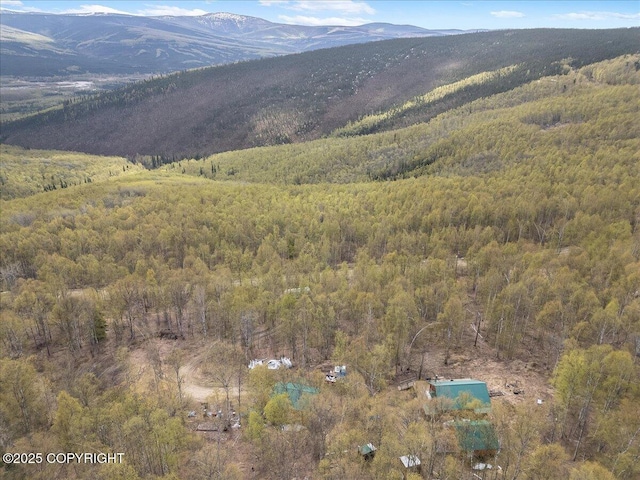 1080 Leuthold Dr, Fairbanks, AK 99712 - view of mountain background featuring a forest