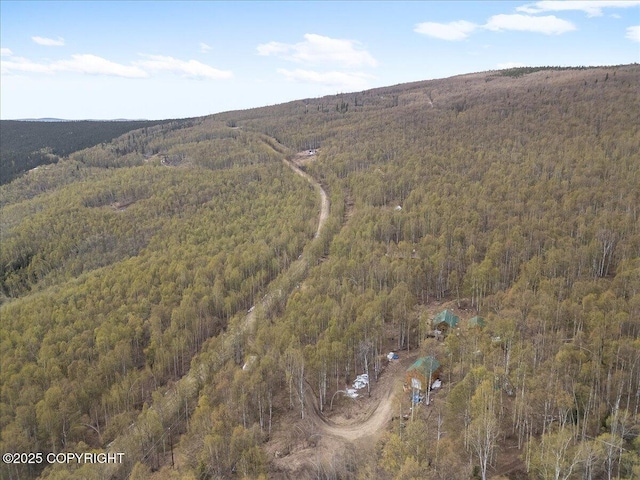 1080 Leuthold Dr, Fairbanks, AK 99712 - view of property location featuring a forest