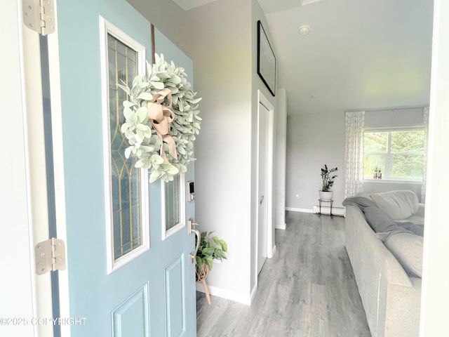 517 Sut Larsen Way, Kodiak, AK 99615 - foyer entrance with wood finished floors, baseboards, and baseboard heating