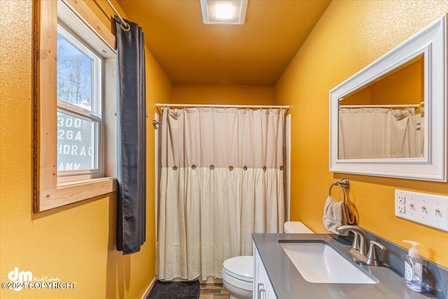 33773 Ruth Glacier Ave, Talkeetna, AK 99676 - bathroom with toilet, vanity, and a shower with shower curtain