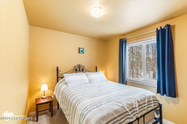 33773 Ruth Glacier Ave, Talkeetna, AK 99676 - bedroom with carpet flooring and baseboards