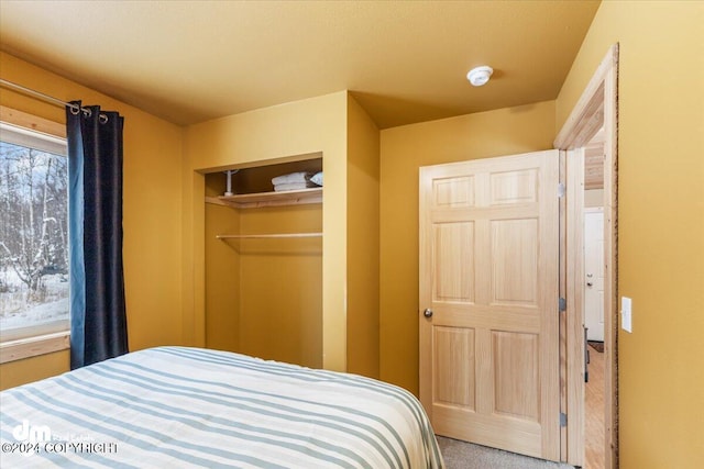 33773 Ruth Glacier Ave, Talkeetna, AK 99676 - carpeted bedroom with a closet