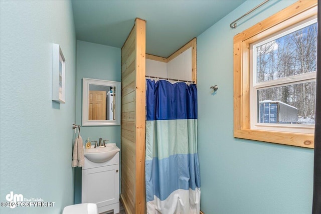 33773 Ruth Glacier Ave, Talkeetna, AK 99676 - bathroom with vanity and a shower with curtain