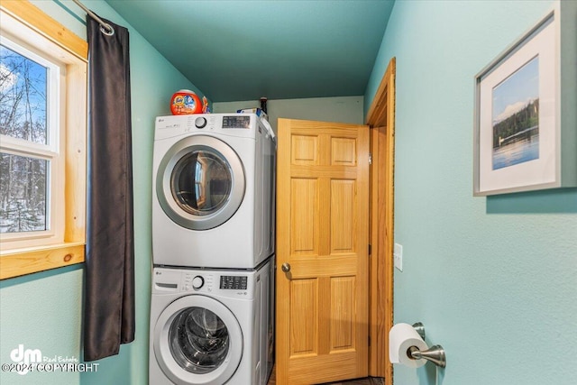 33773 Ruth Glacier Ave, Talkeetna, AK 99676 - laundry room featuring stacked washer and clothes dryer