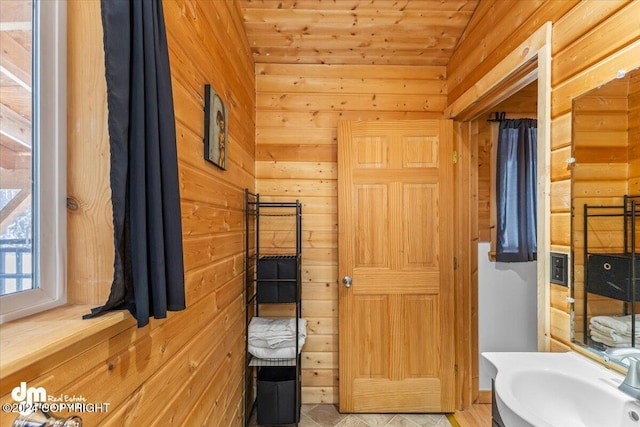 33773 Ruth Glacier Ave, Talkeetna, AK 99676 - bathroom with wooden walls, a sink, and wooden ceiling