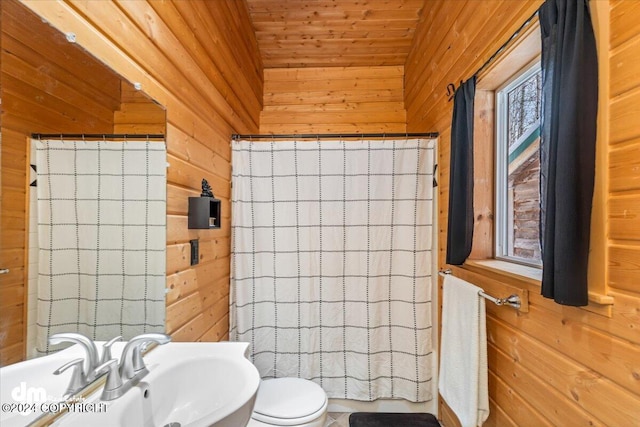 33773 Ruth Glacier Ave, Talkeetna, AK 99676 - bathroom with wood walls, a sink, toilet, and wooden ceiling
