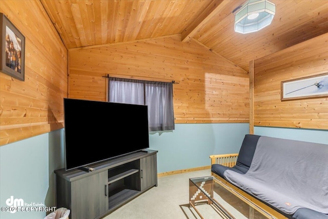 33773 Ruth Glacier Ave, Talkeetna, AK 99676 - living area with wooden walls, wood ceiling, and carpet flooring