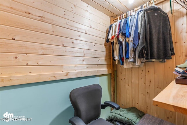 33773 Ruth Glacier Ave, Talkeetna, AK 99676 - view of spacious closet
