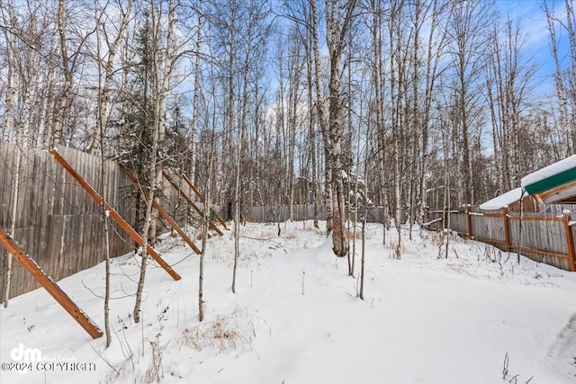 33773 Ruth Glacier Ave, Talkeetna, AK 99676 - view of yard covered in snow