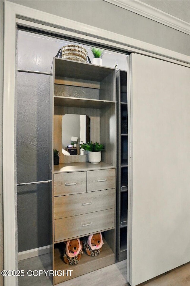 view of closet