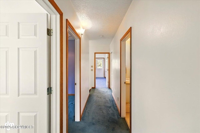 33768 Granross St, Anchor Point, AK 99556