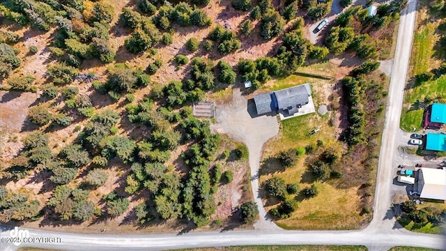 33768 Granross St, Anchor Point, AK 99556