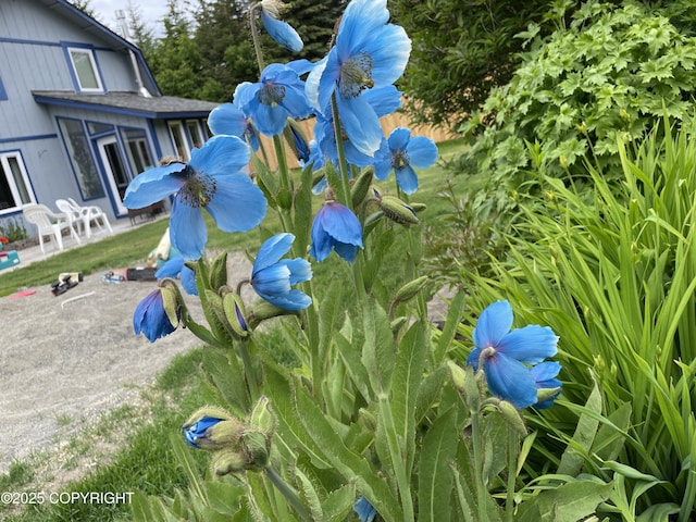 33768 Granross St, Anchor Point, AK 99556