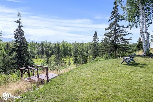 174 E Leota St, Wasilla, AK 99654 - view of green lawn with a view of trees