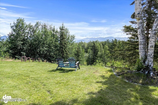 174 E Leota St, Wasilla, AK 99654 - view of grassy yard with a mountain view and a forest view