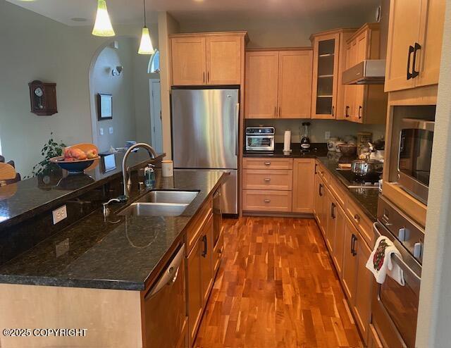 2295 N Filly Cir, Wasilla, AK 99654 - kitchen featuring a sink, stainless steel appliances, extractor fan, dark wood-style floors, and glass insert cabinets