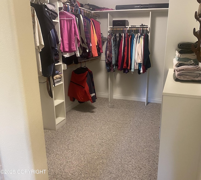 2295 N Filly Cir, Wasilla, AK 99654 - walk in closet featuring carpet
