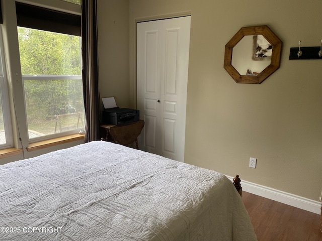 2295 N Filly Cir, Wasilla, AK 99654 - bedroom with baseboards, dark wood-type flooring, and multiple windows