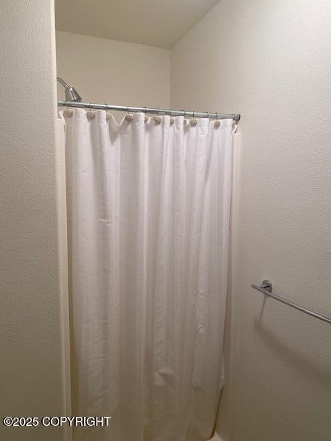2295 N Filly Cir, Wasilla, AK 99654 - full bath with a shower with shower curtain