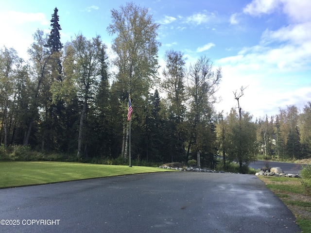 2295 N Filly Cir, Wasilla, AK 99654 - view of street featuring a wooded view