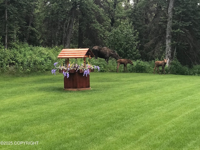 2295 N Filly Cir, Wasilla, AK 99654 - view of grassy yard with a forest view