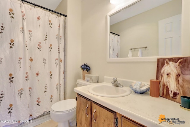 4147 Hampton Dr # 10D, Anchorage, AK 99504 - bathroom with vanity, toilet, and a shower with curtain