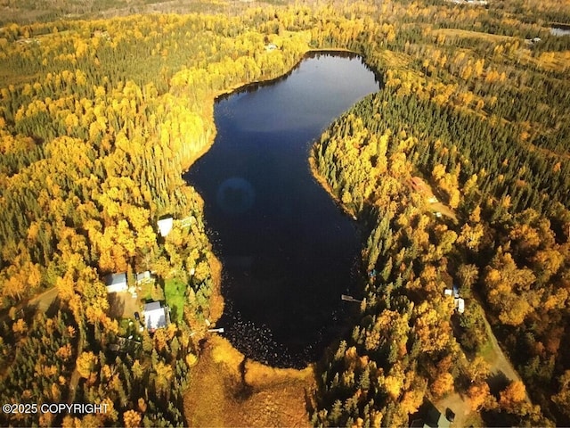 24555 Constellation Rd, Kasilof, AK 99610