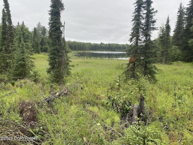24555 Constellation Rd, Kasilof, AK 99610