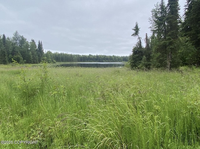24555 Constellation Rd, Kasilof, AK 99610