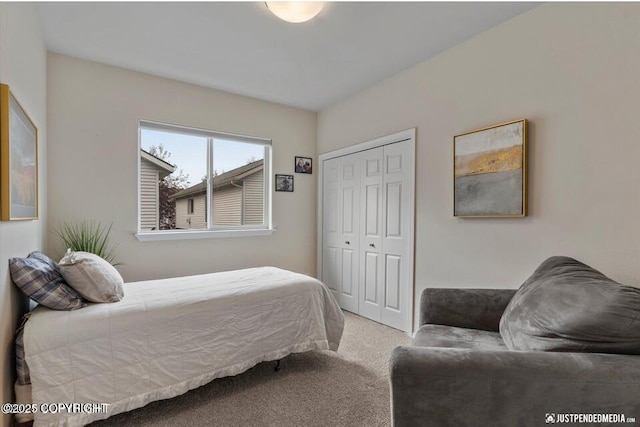 2370 Irontree Pl # 3, Anchorage, AK 99508 - bedroom featuring carpet floors and a closet