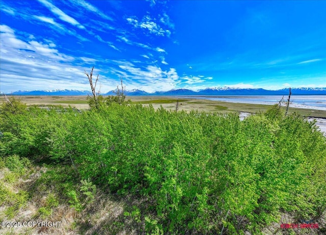 7061 S Hayfield Rd, Wasilla, AK 99654