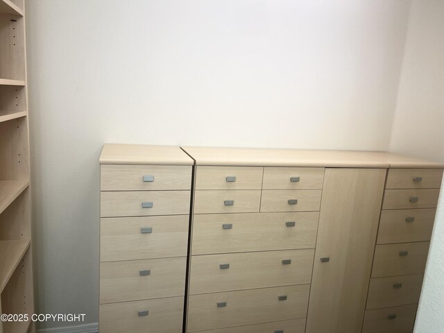 4766 Grumman St Unit 4766, Anchorage, AK 99507 - spacious closet with mail area