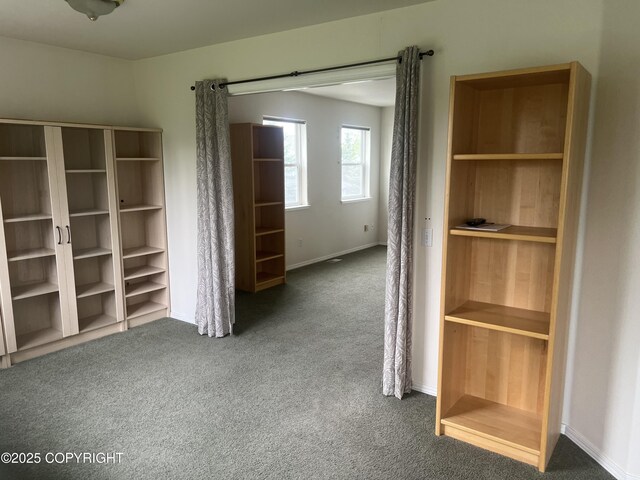 4766 Grumman St Unit 4766, Anchorage, AK 99507 - view of closet