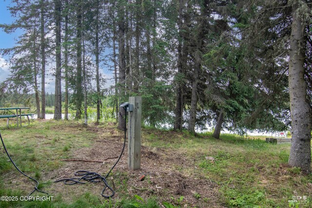 52619 Chumelina Ct, Kasilof, AK 99610 - view of yard