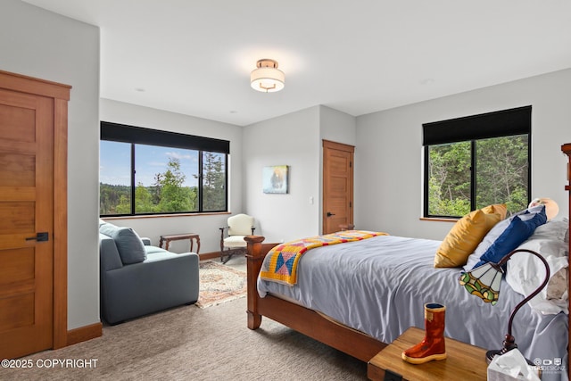52619 Chumelina Ct, Kasilof, AK 99610 - bedroom featuring multiple windows, carpet flooring, and baseboards