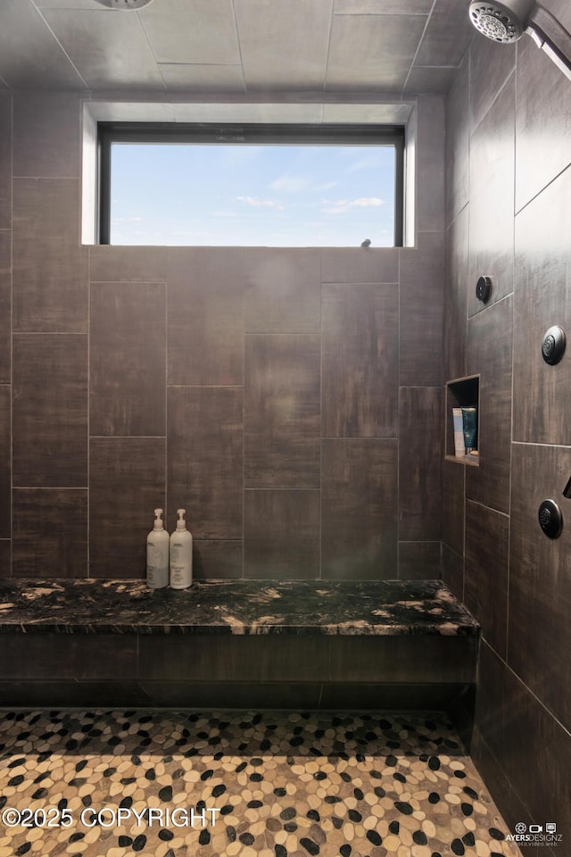 52619 Chumelina Ct, Kasilof, AK 99610 - full bath with plenty of natural light and tiled shower