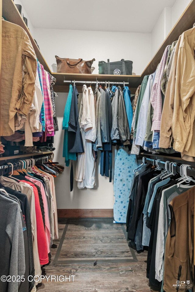 52619 Chumelina Ct, Kasilof, AK 99610 - spacious closet featuring wood finished floors