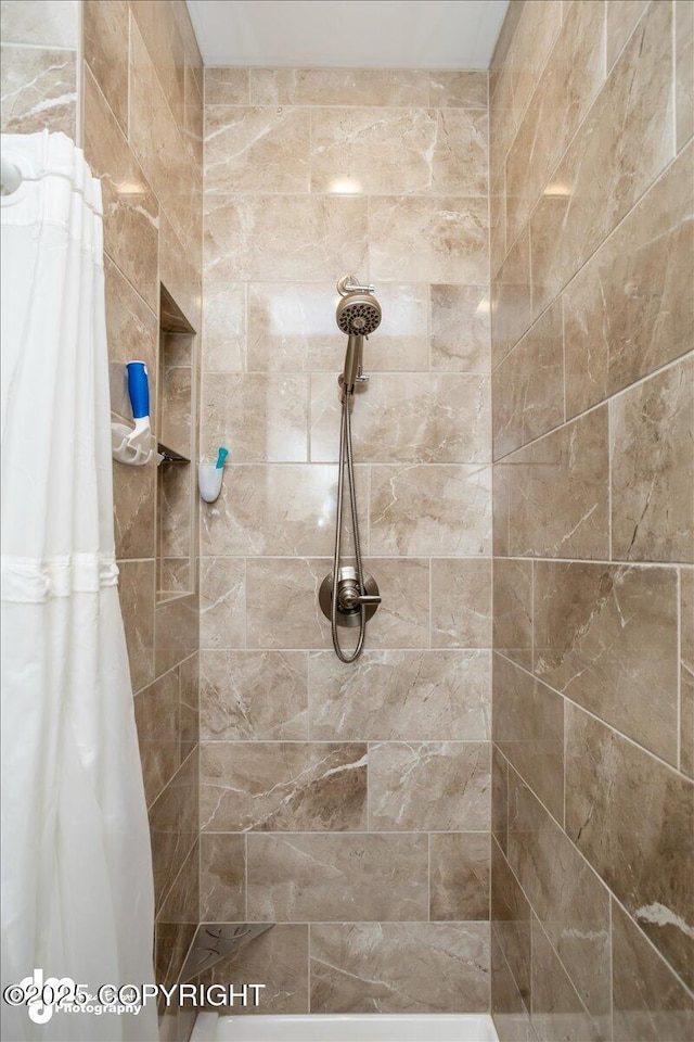 1630 S Corwin Ln, Wasilla, AK 99654 - full bathroom with a tile shower
