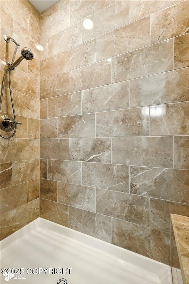 1630 S Corwin Ln, Wasilla, AK 99654 - bathroom featuring a tile shower
