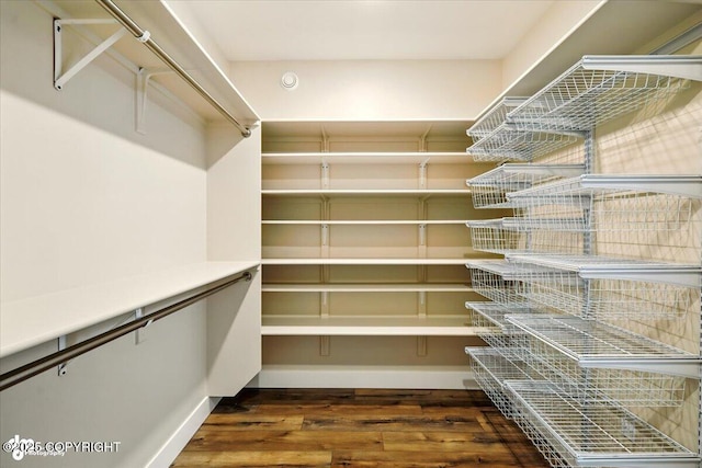 1630 S Corwin Ln, Wasilla, AK 99654 - walk in closet with dark wood-type flooring