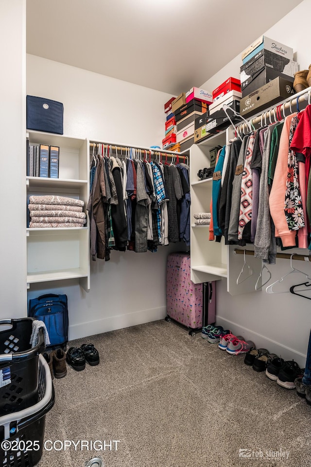 6552 N Michelle Rae St, Wasilla, AK 99654 - walk in closet featuring carpet flooring