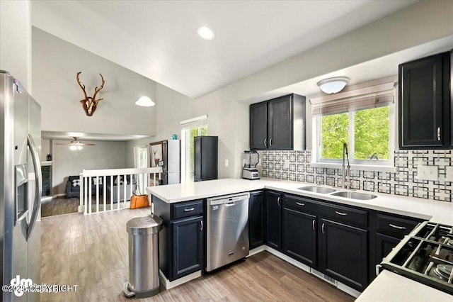 1320 S Felton St, Palmer, AK 99645 - kitchen with stainless steel appliances, a sink, a peninsula, vaulted ceiling, and healthy amount of natural light