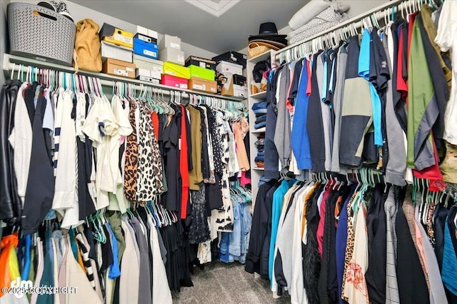 1320 S Felton St, Palmer, AK 99645 - walk in closet featuring carpet floors