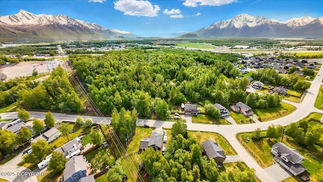 1320 S Felton St, Palmer, AK 99645 - drone / aerial view of mountains