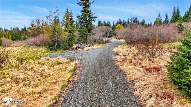65251 Clyde Thomas Ave, Anchor Point, AK 99556