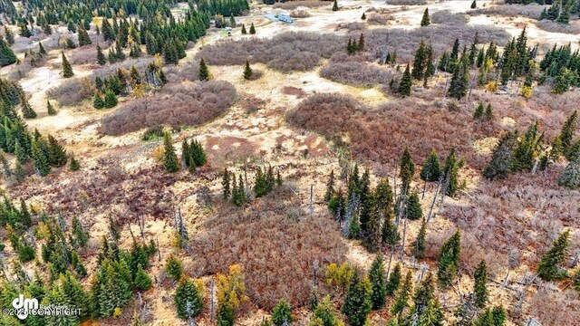 65251 Clyde Thomas Ave, Anchor Point, AK 99556